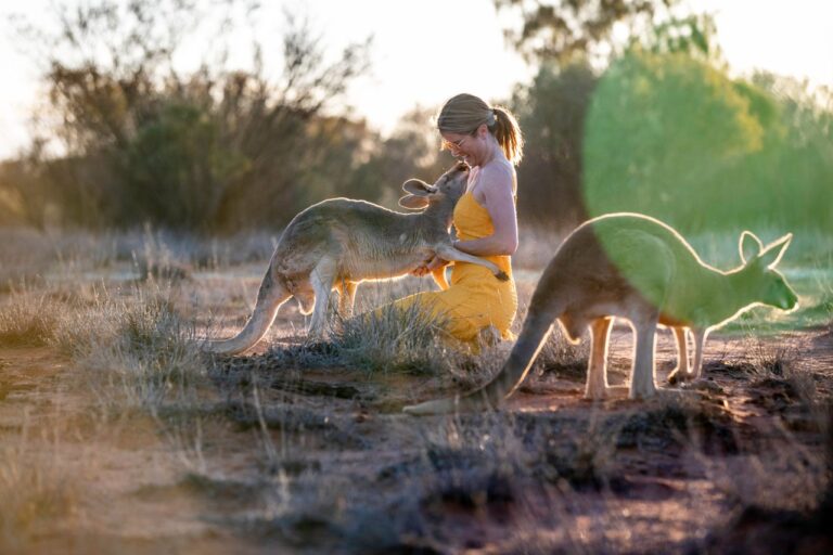 Alice Springs Uncovered: A Complete Guide to Life in the Heart of Australia